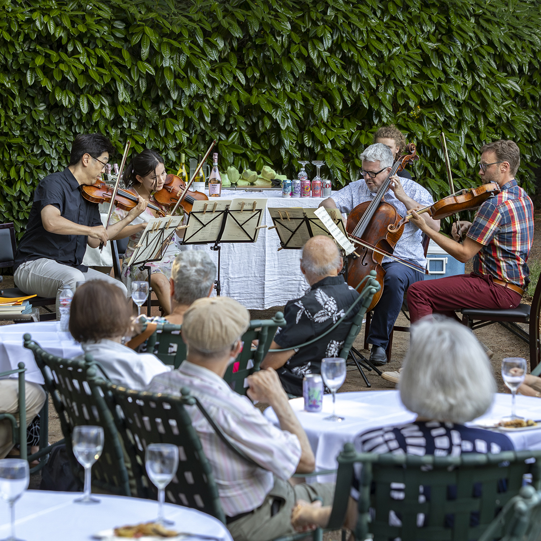 Chamber Party: A Musical Salon with the Young Artist Institute Faculty